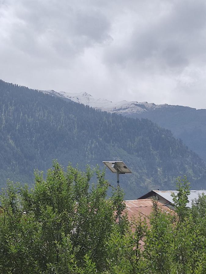 Woods Inn Mountain View Manali Extérieur photo