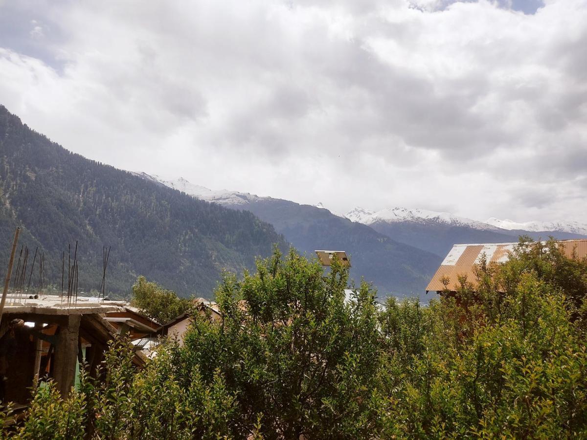 Woods Inn Mountain View Manali Extérieur photo